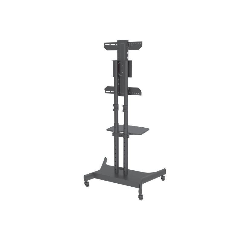 T3P_Portrait Reverse View